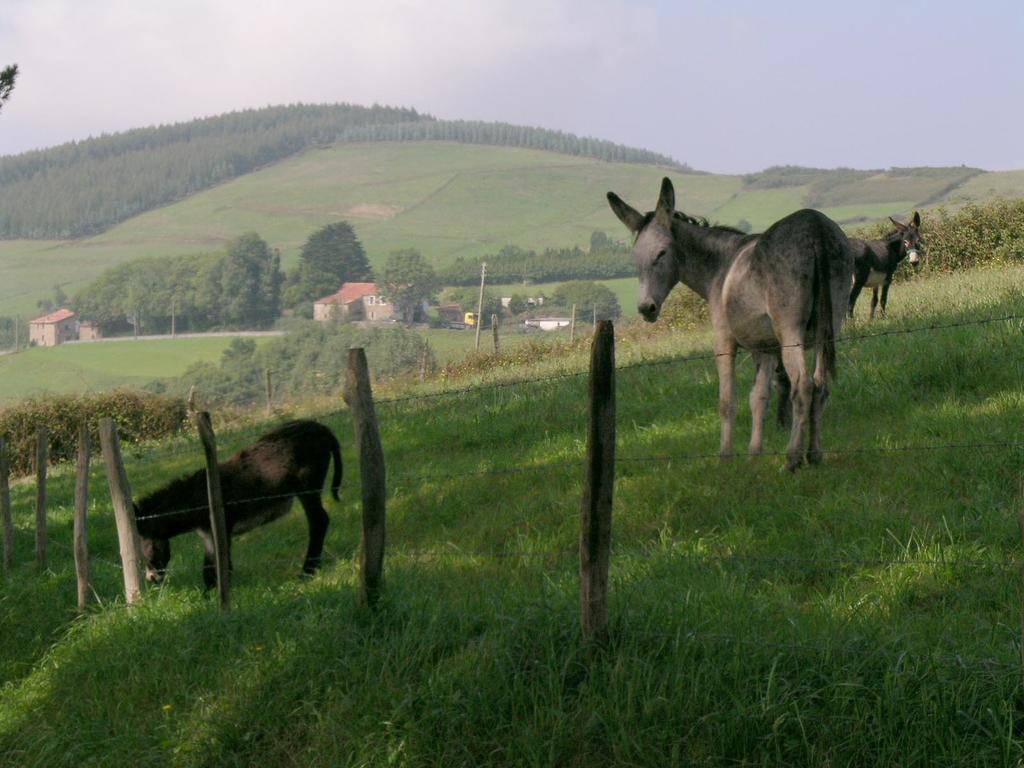 Agroturismo Kasa Barri Bermeo Exteriér fotografie